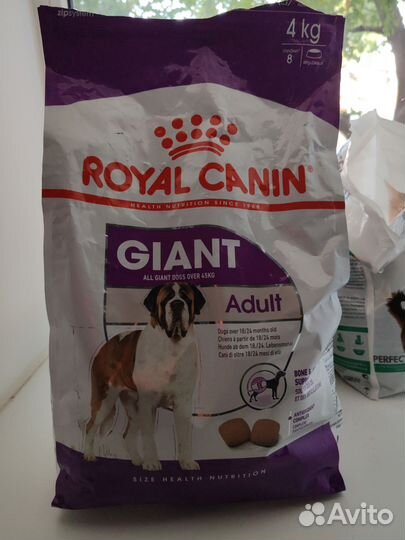 Корм для собак royal canin giant