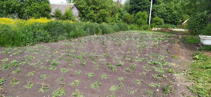 Дом 42,8 м² на участке 50 сот.