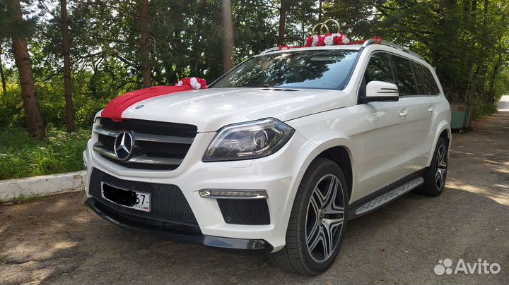 Заказ Автобусов и автомобилей, трансфер