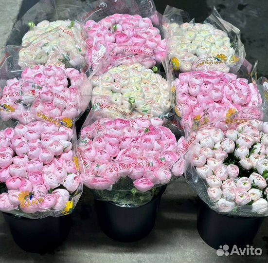 Ранункулюсы / доставка цветов