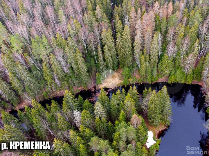 Дача 50 м² на участке 13,2 сот.