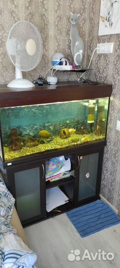 Аквариум