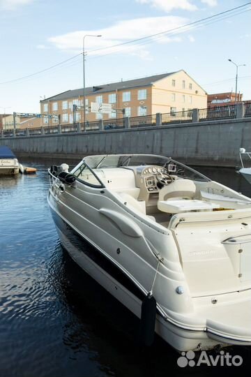 Stingray 250 катер бизнес класса