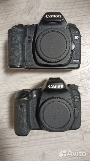 Nikon d5600 / canon 70d / canon mark ii