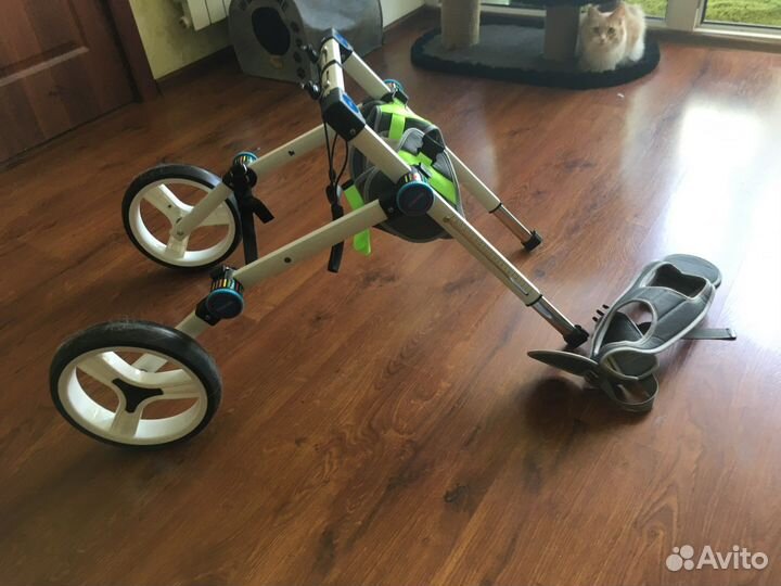 Коляска для собаки-инвалида