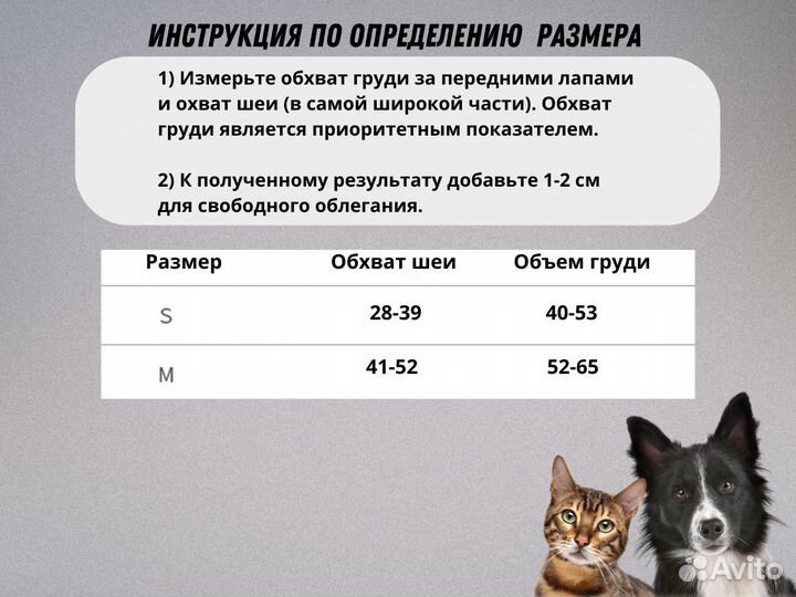 Шлейка прогулочная с поводком для кошек и собак