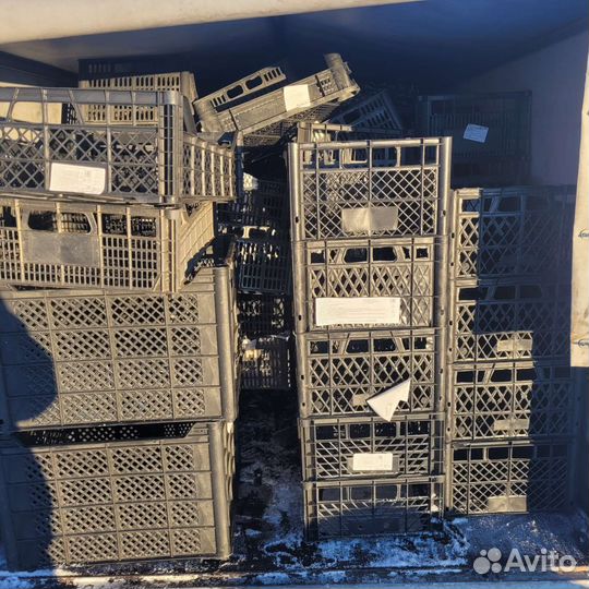 Ящик овощной