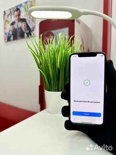 iPhone X, 256 ГБ