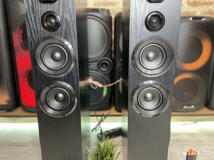 Большие напольные колонки Eltronic