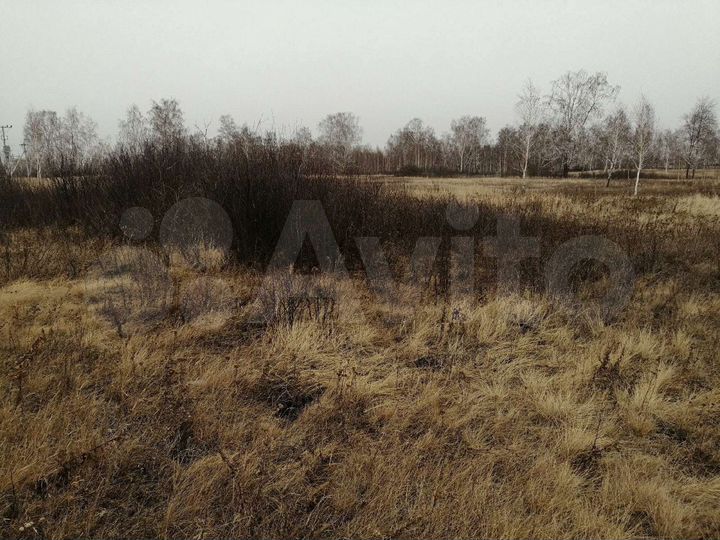 Участок 12 сот. (СНТ, ДНП)
