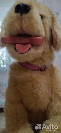 Интерактивная собака