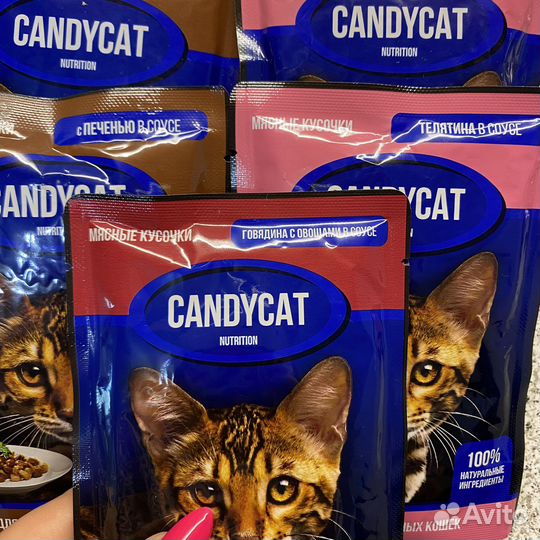 Влажный корм для стерилизованных кошек