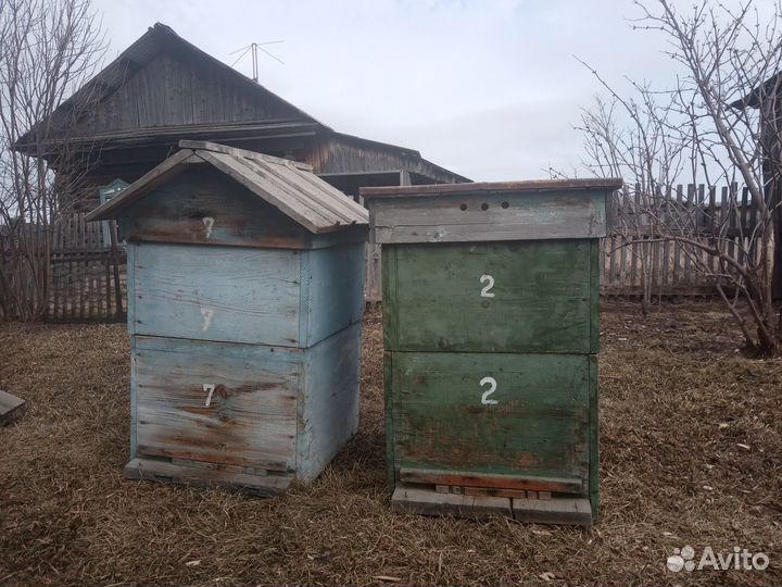 Продам ульи для пчел