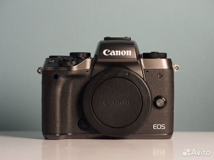 Canon m50 body