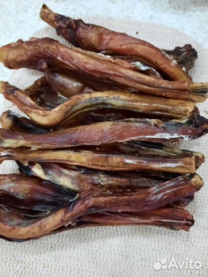 Корм для собак