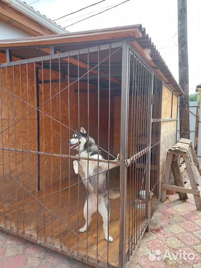 Вольер для собак б/у уличный