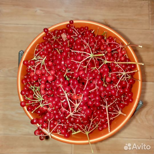 Калина, Тыква