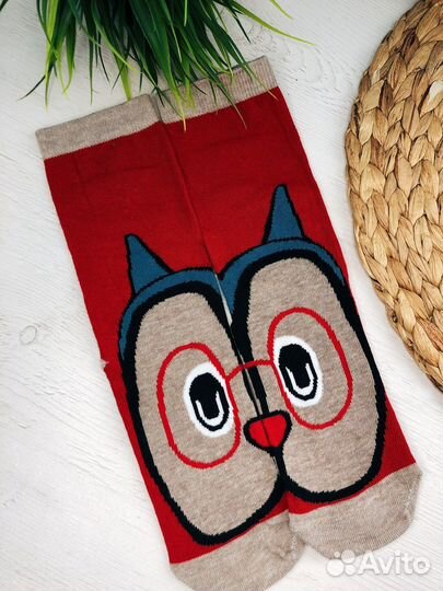 Носки женские с совами размер 36-41