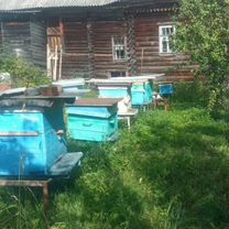 Пасека пчел.2 шт, Антропово