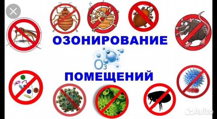 Озонирование помещений; удаление запахов,насекомых