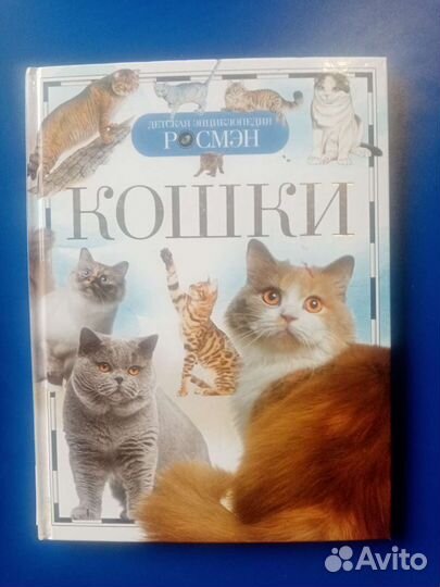 Широкина Е.В. 