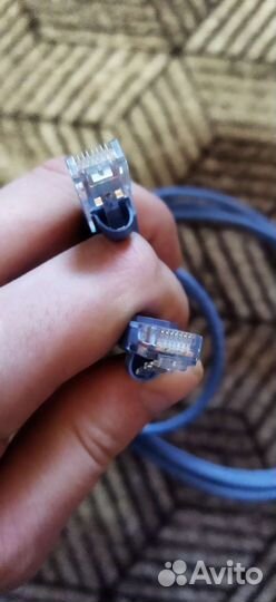 Сетевой кабель для интернета Molex