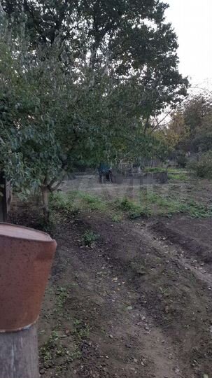 Дом 74 м² на участке 10 сот.