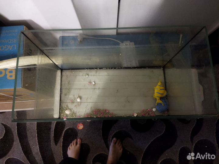 Аквариум