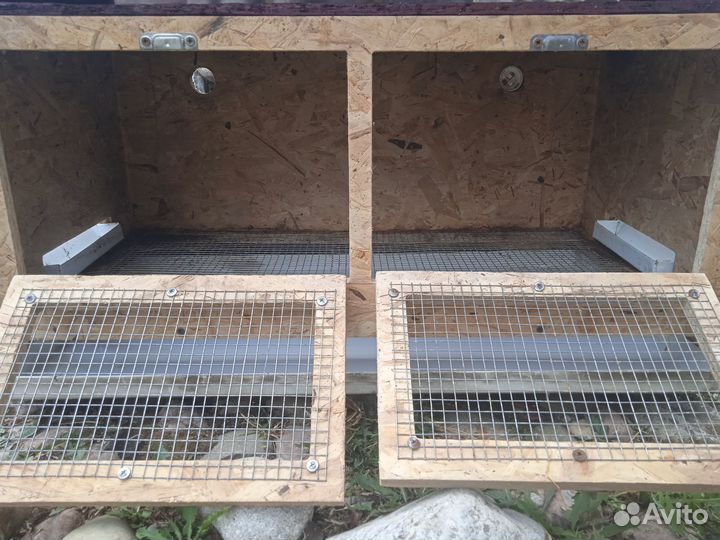 Брудер для цыплят