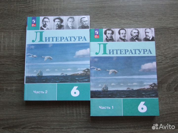Полухина Литература 6 класс Учебник В 2х чч.2023 г
