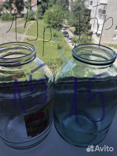 Банки стеклянные 3 литра