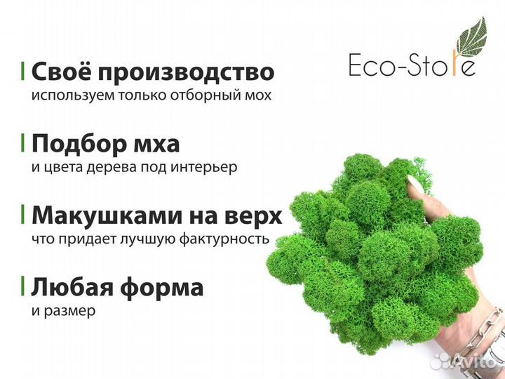 Круги со стабилизированным мхом композиция