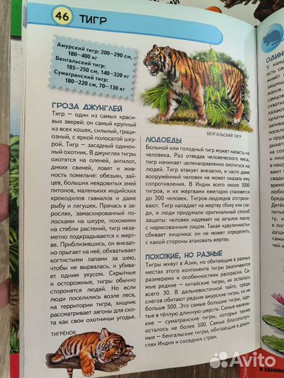 Энциклопедия для детей