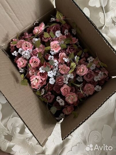 Декоративные цветы