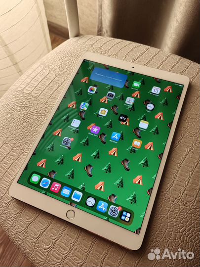 iPad pro 10.5 2017 256