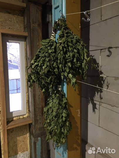 Свежие березовые веники