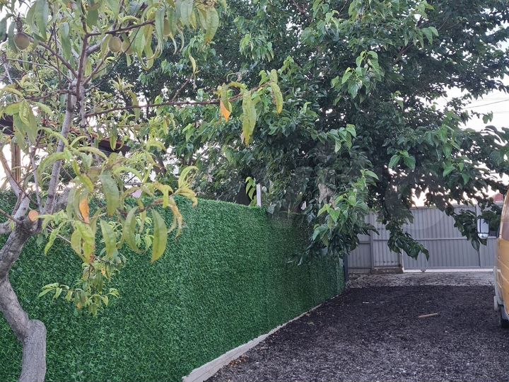 Комната 43 м² в 1-к., 1/2 эт.