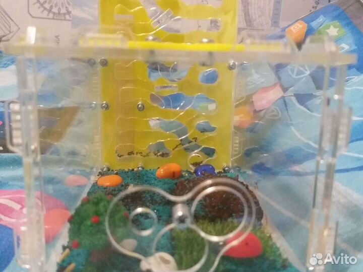 Муравьиная ферма