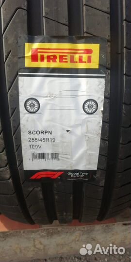 Pirelli Scorpion 255/45 R19 100V