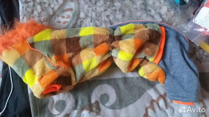 Куртки для Таксы