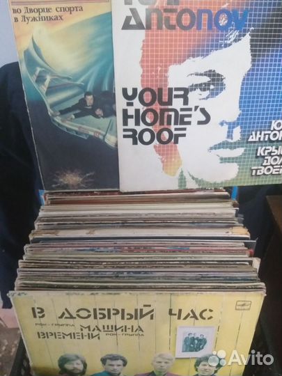 Виниловые пластинки