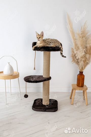 Когтеточка с лежанкой 80см