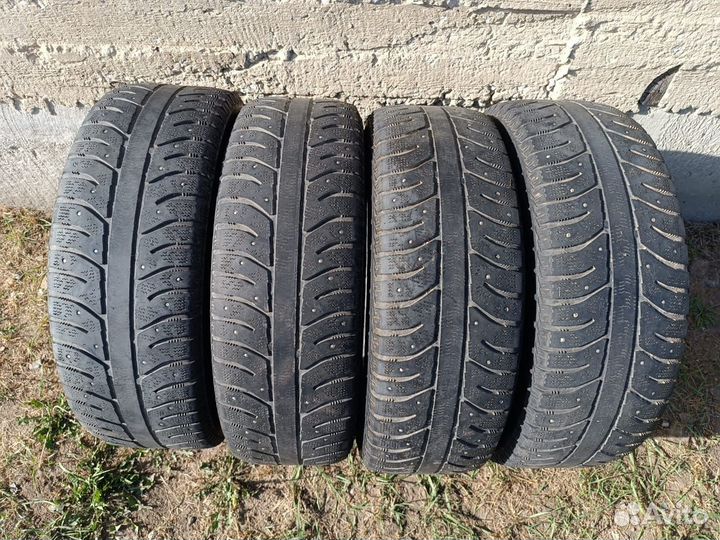 Bridgestone B249 195/65 R15