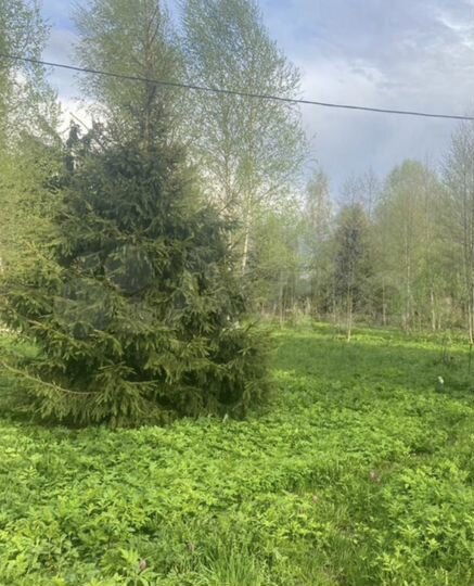 Участок 9 сот. (ИЖС)