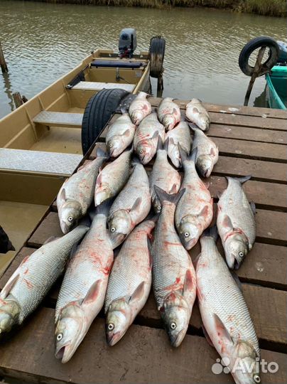 Рыбалка в Астрахани на расскатах Каспия