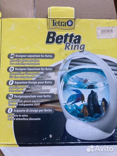 Животные/Аквариум