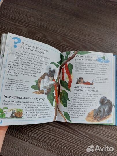 Энциклопедия для детей