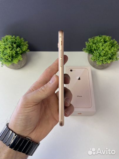 iPhone 8, 64 ГБ