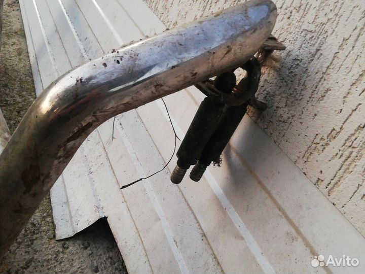 Кингурятник