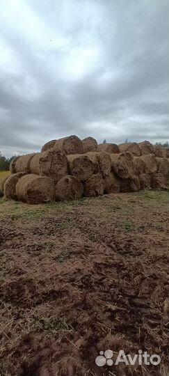 Солома в тюках